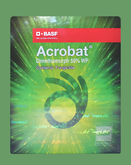 Acrobat/एक्रोबैट