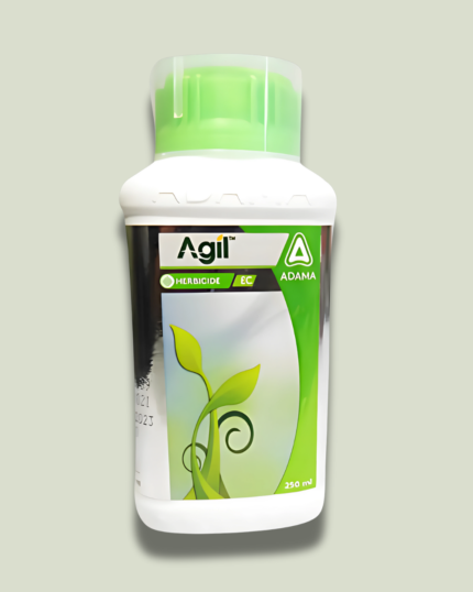 Agil/एजिल