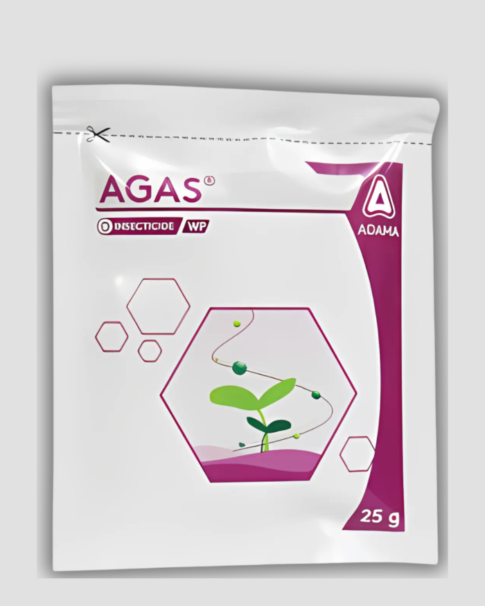 Agas/अगास