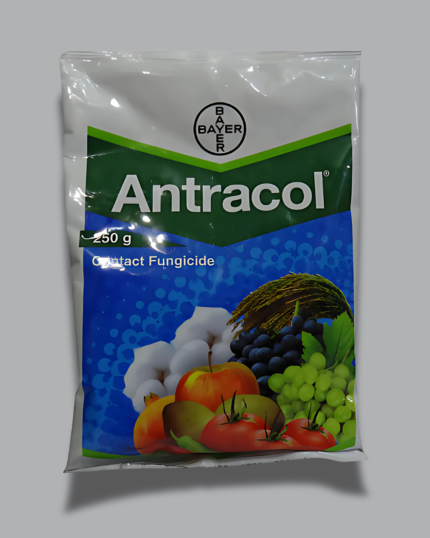 Antracol/एंट्राकोल