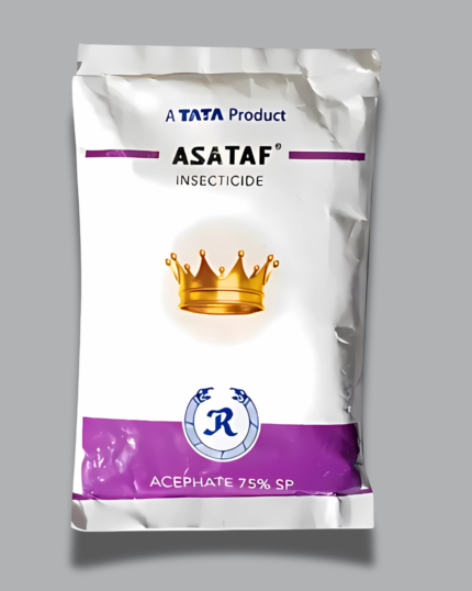Asataf/असताफ