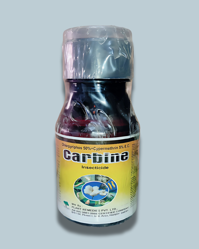 CARBINE/काबैन