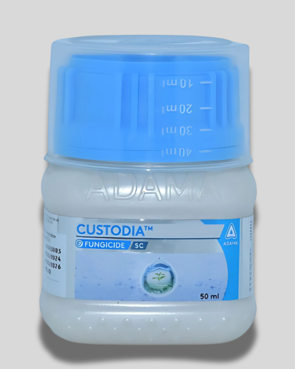 Custodia/कस्टोडिआ