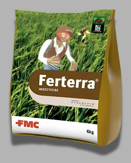 Ferterra/फेरतेररा