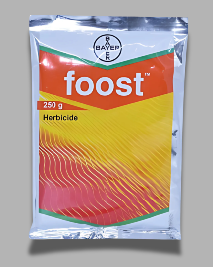 Foost/फूस्त