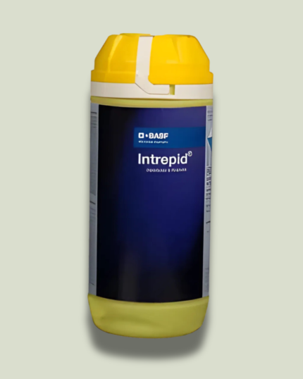 Intrepid/इंटरएपिड