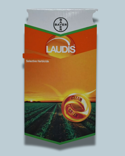 Laudis/लॉडिस