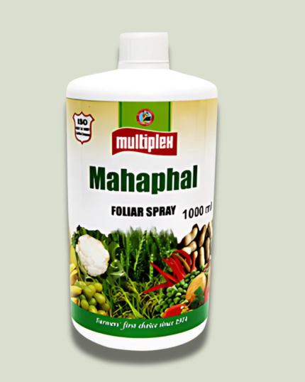 MAHAPHAL/महाफल