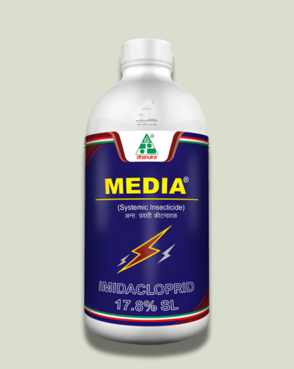 Media/मीडिया