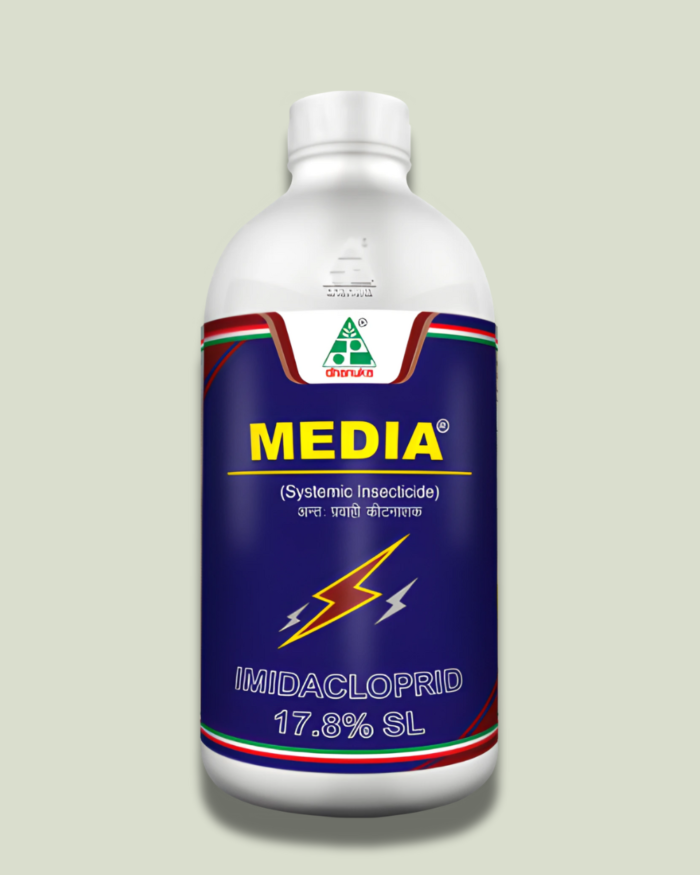 Media/मीडिया