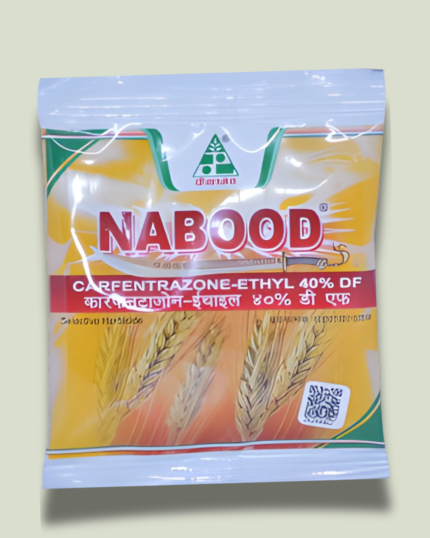 Nabood/ नबूद