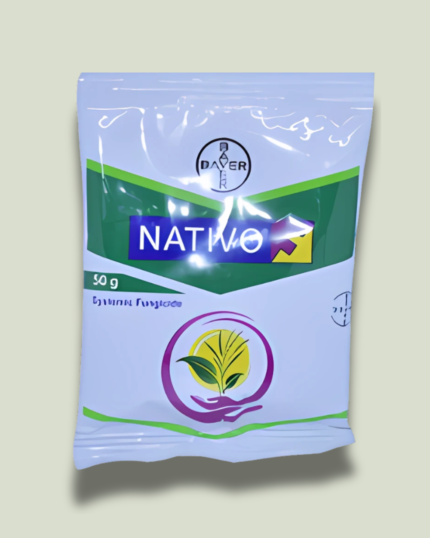 Nativo/ नैटिवो