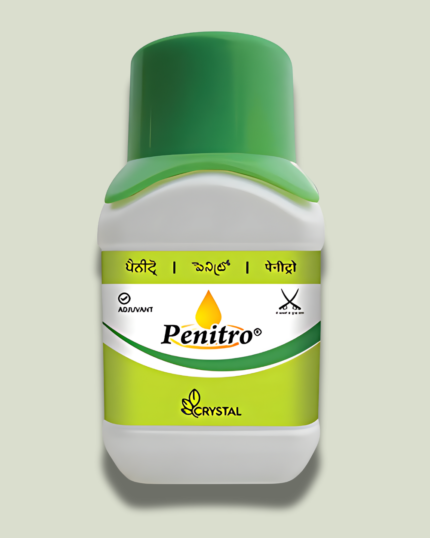 Penitro/पेनिट्रो