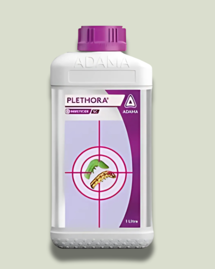 Plethora/प्लेथोरा