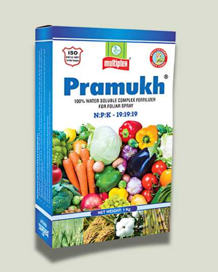 Pramukh (19:19:19)/प्रमुख (19:19:19)