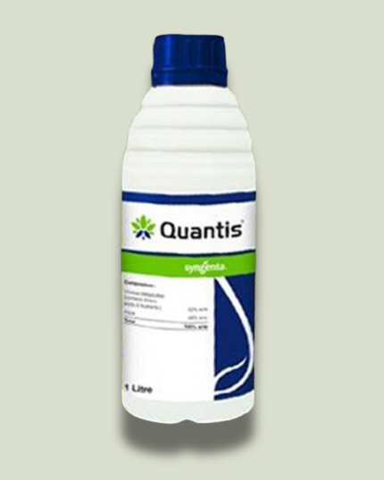 Quantis/क्वांटिस