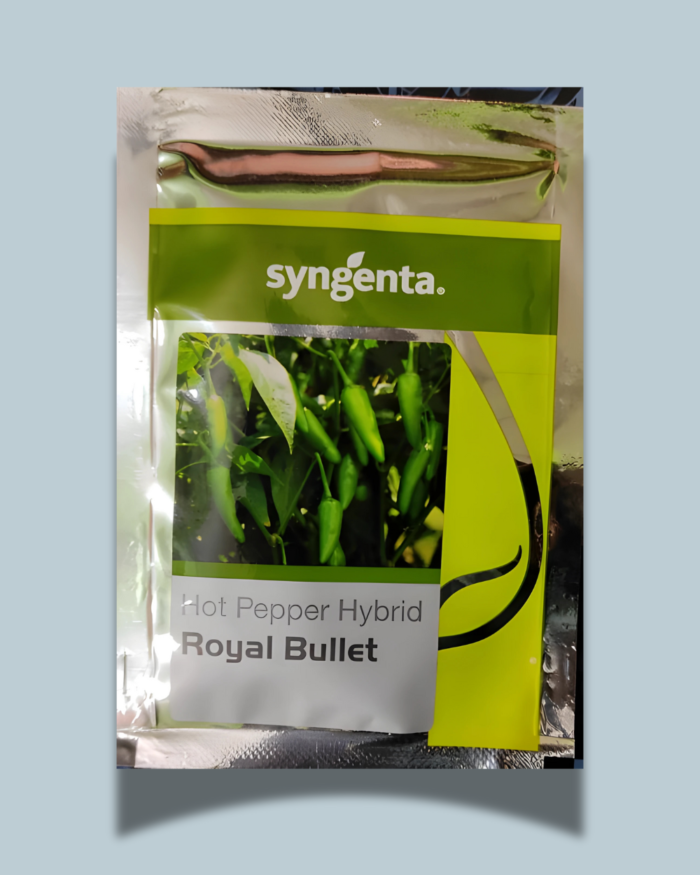 ROYAL BULLET