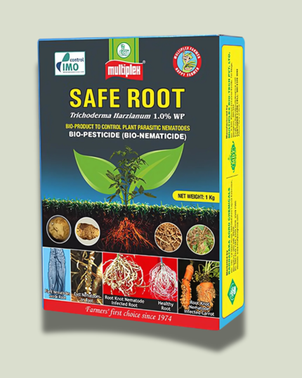 Safe Root/सेफ रुट
