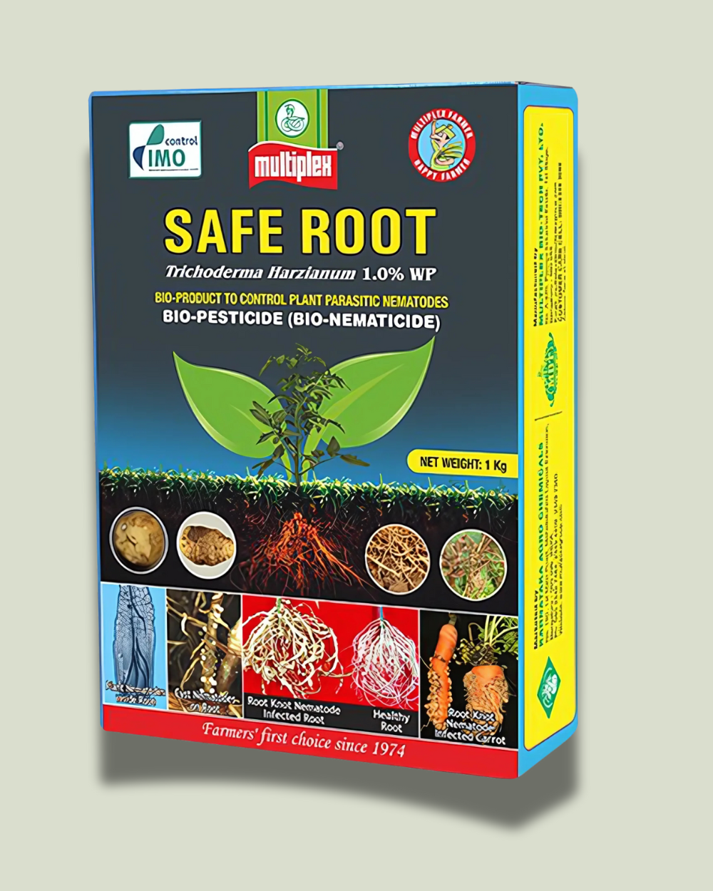 Safe Rootसेफ रुट Safe Root/सेफ रुट