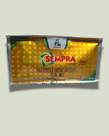 Sempra/सेमप्रा