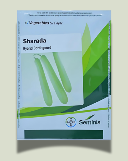 Sharada