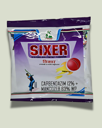 Sixer/सिक्सर