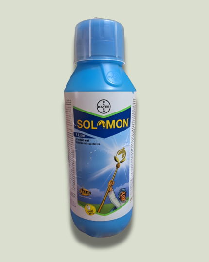 Solomon/सोलोमन