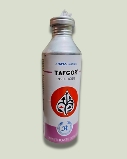 Tafgor/तफगोर