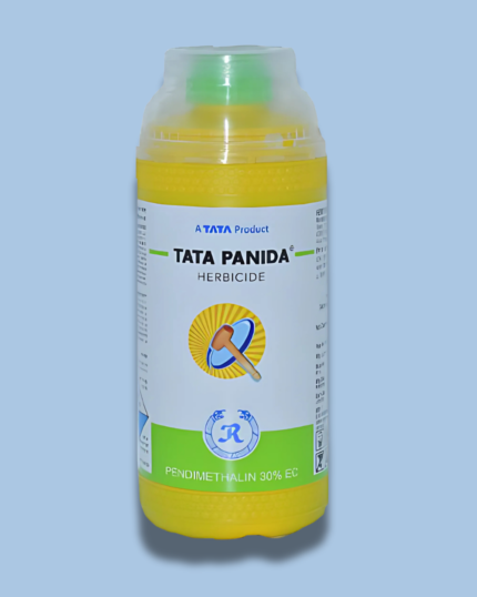 Tata Panida/ टाटा पनिडा