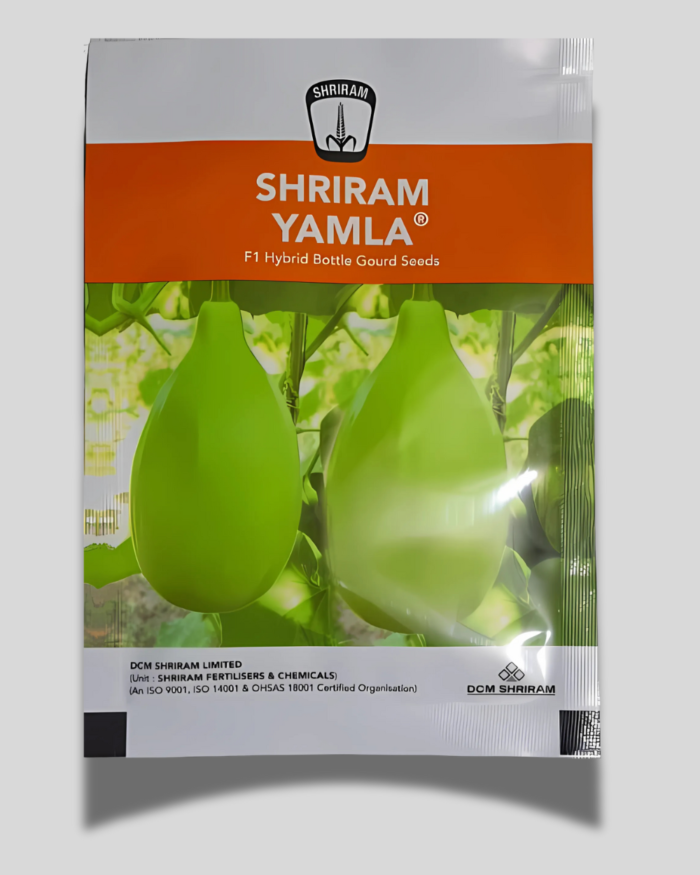 YAMLA