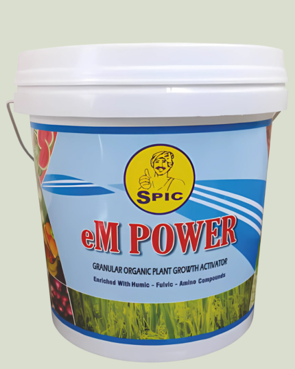 eMPOWER/एम्पोवेर