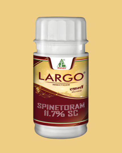 largo
