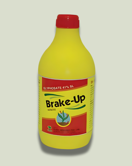 Brake-Up/ब्रेक अप