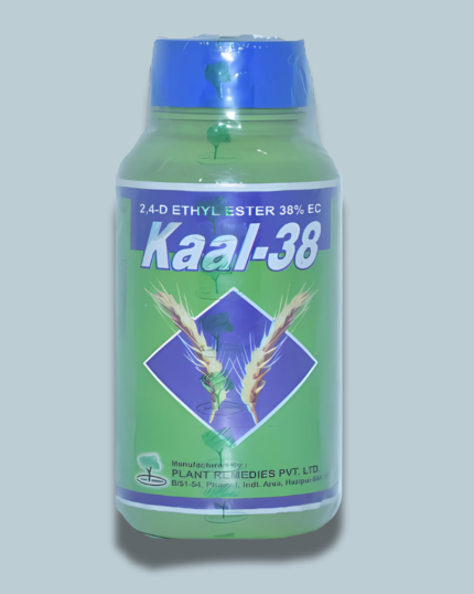KAAL-38/कॉल 38
