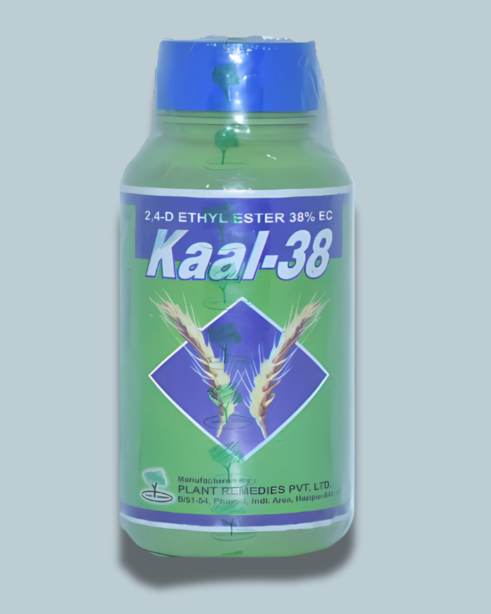 KAAL-38/कॉल 38