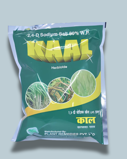 KAAL DUST/कॉल डस्ट