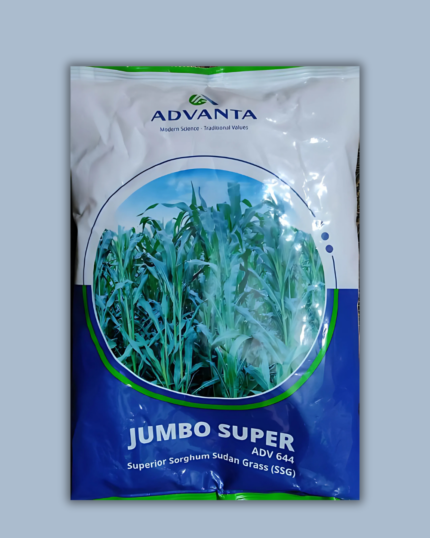 JUMBO SUPER