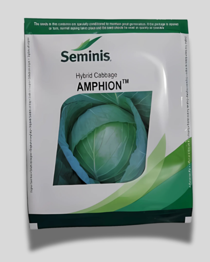 AMPHION
