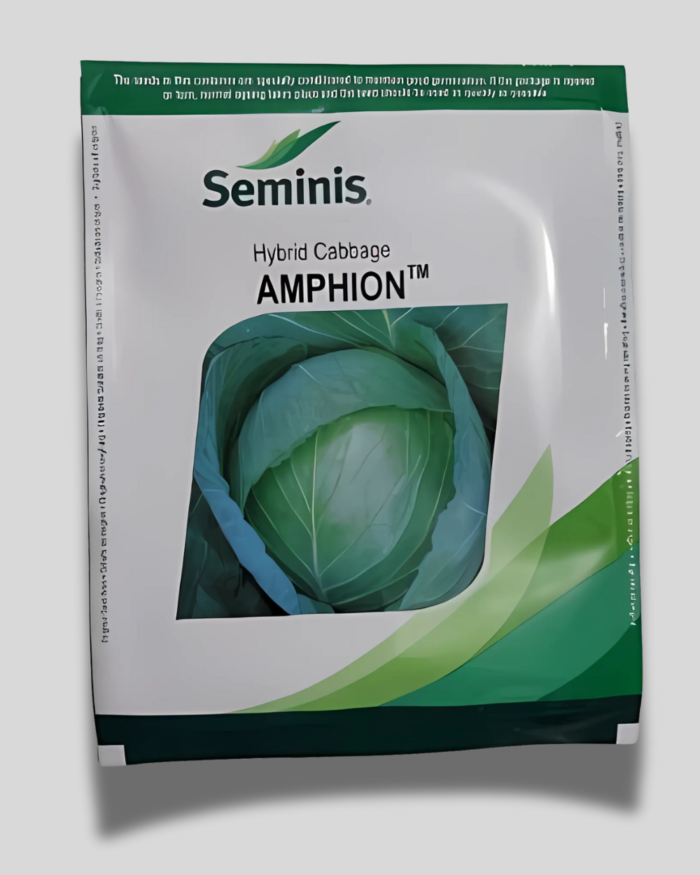AMPHION