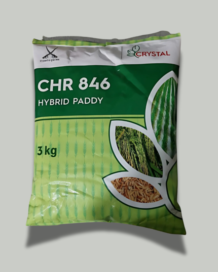 CHR 846
