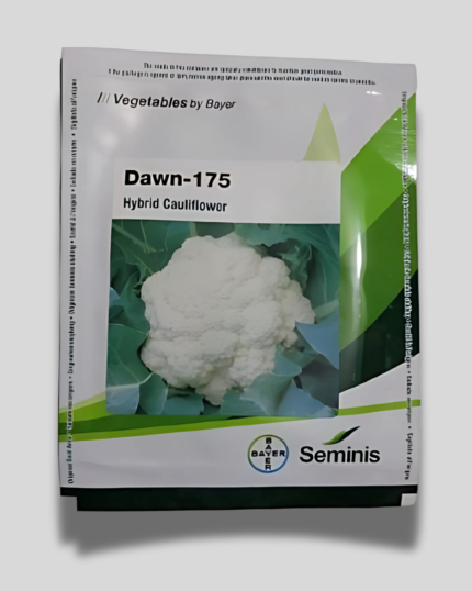 DAWN-175