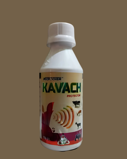 KAVACH