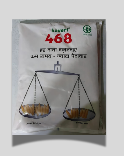 KAVERI 468