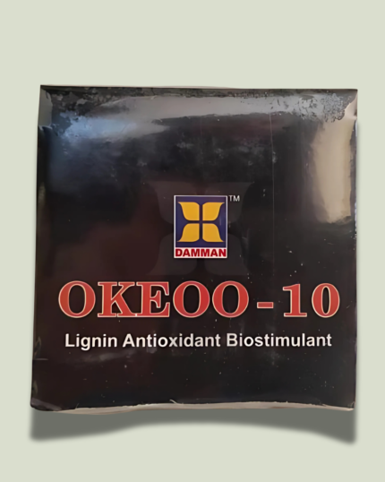 OKEOO-10