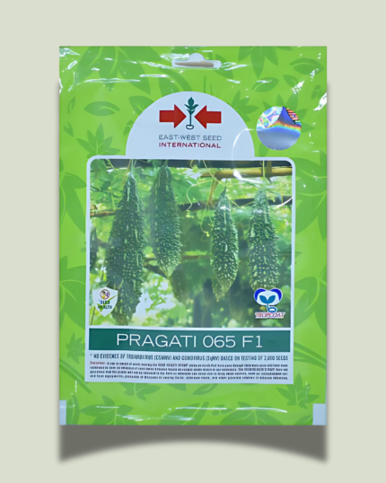 PRAGATI 065 F1