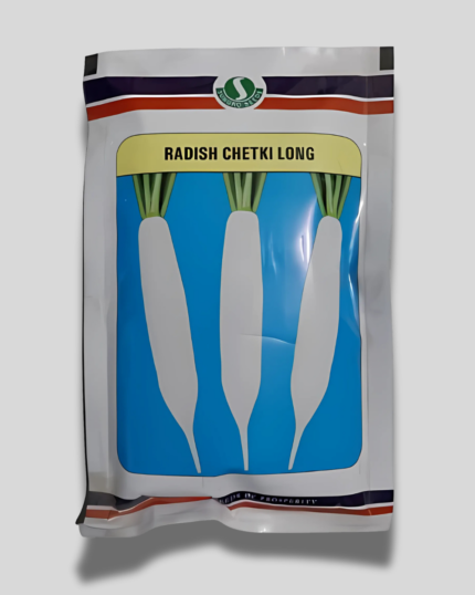 RADISH CHETKI LONG