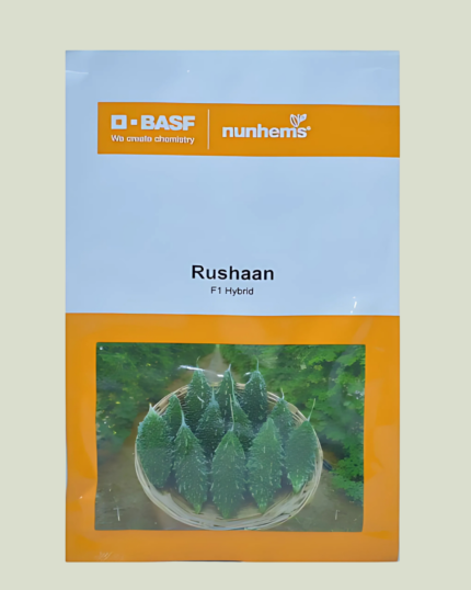 RUSHAAN