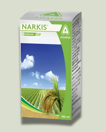 ADAMA NARKIS