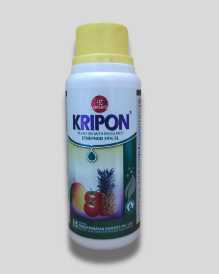 KRIPON