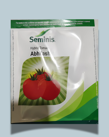 Seminis Abhilash tomato